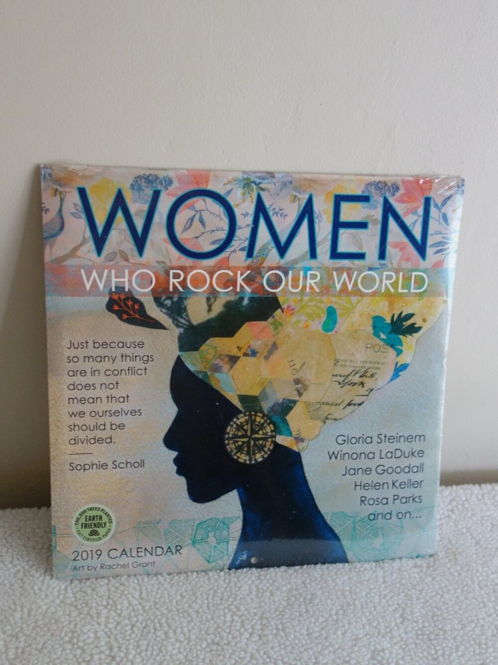New Sealed 2019 RACHEL GRANT Women Who Rock Our World Calendar Poster Art